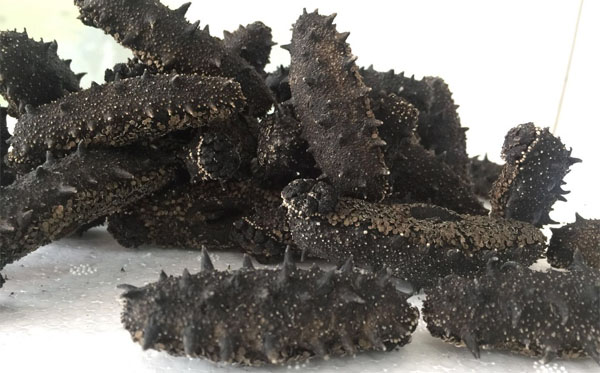 干海參與即食海參:儲(chǔ)存方法與口感優(yōu)勢(shì)解析