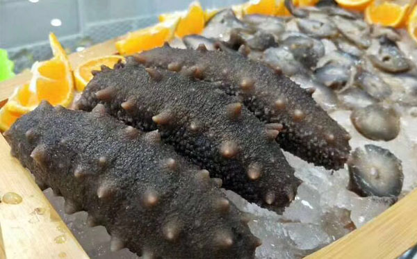 干海參怎么泡發(fā)?