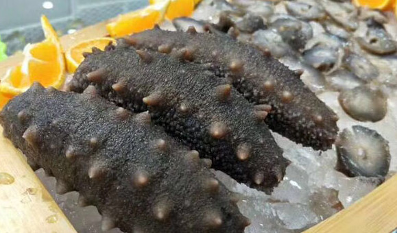 干海參禮盒多少錢？