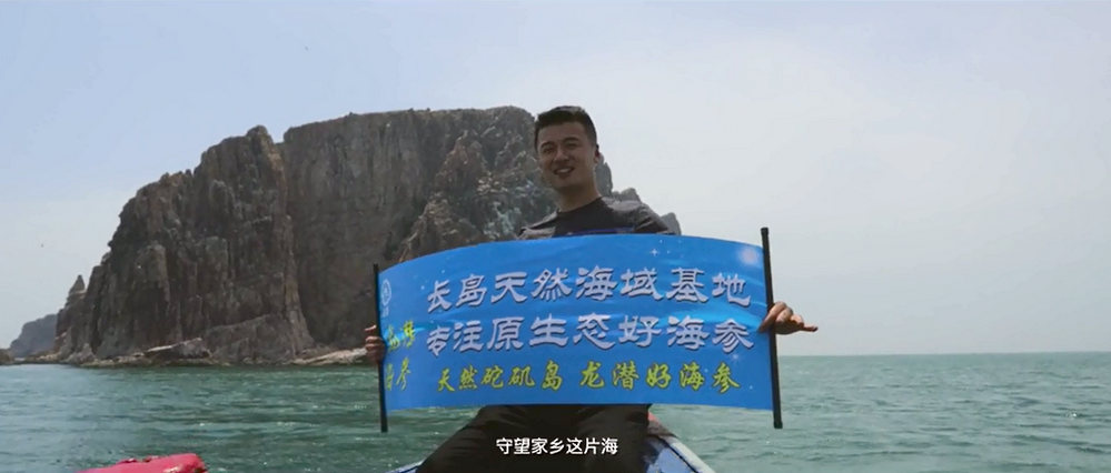 煙臺龍潛野生海參捕撈